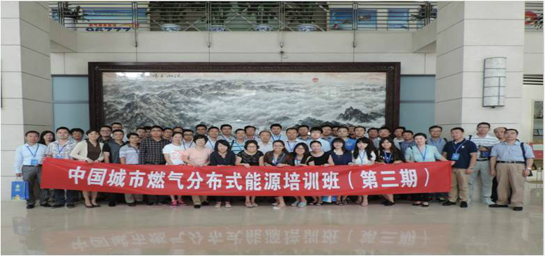 中國城市燃氣協會分散式能源專業委員會