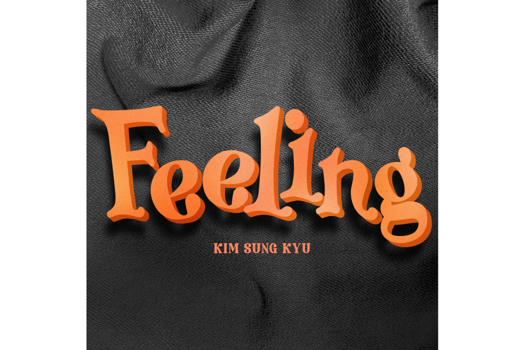 feeling(2024年金聖圭演唱歌曲) feeling(2024年金聖圭演唱歌曲)