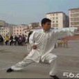 形神拳 形神拳