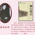 鴨窠圍的夜