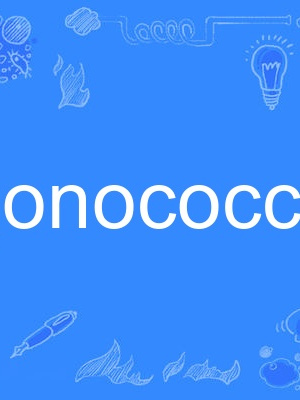 gonococcus gonococcus