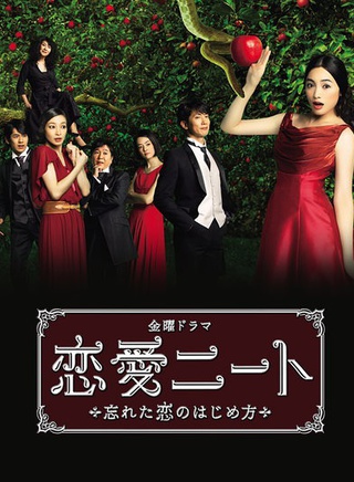 仲間由紀惠 仲間由紀惠