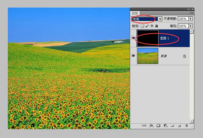 Photoshop中性色 Photoshop中性色