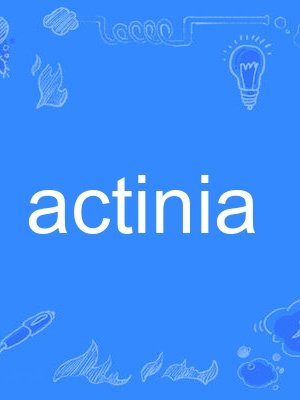 actinia actinia