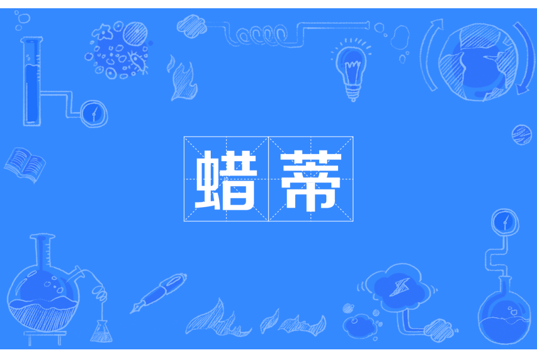 蠟蒂 蠟蒂