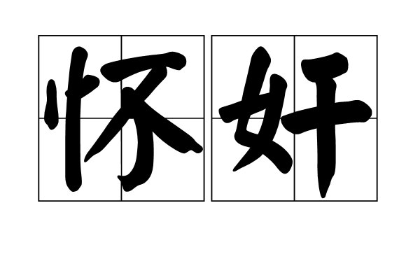 懷奸 懷奸