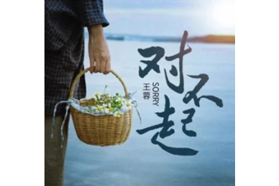 對不起(2023年王蓉演唱的歌曲) 對不起(2023年王蓉演唱的歌曲)