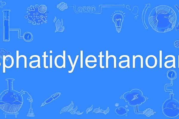 phosphatidylethanolamine phosphatidylethanolamine