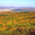 松峰山 松峰山