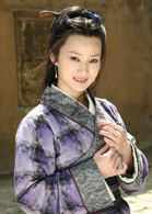孔雀東南飛(中國2009年王文杰執導電視劇)