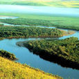 剛果河流域