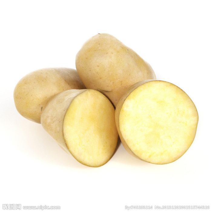 桂農薯1號 桂農薯1號