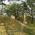 藤原百川 藤原百川