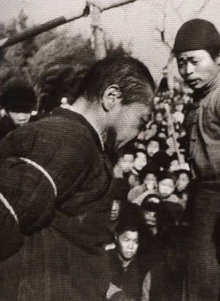 王人美 王人美