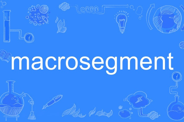 macrosegment macrosegment