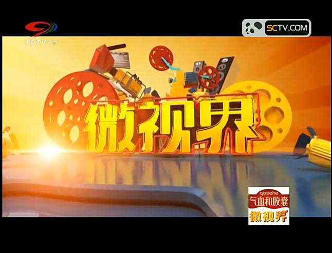 微視界(結合微電影及網路精選視頻的電視節目)
