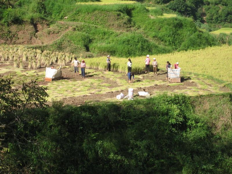 子臘地村 子臘地村