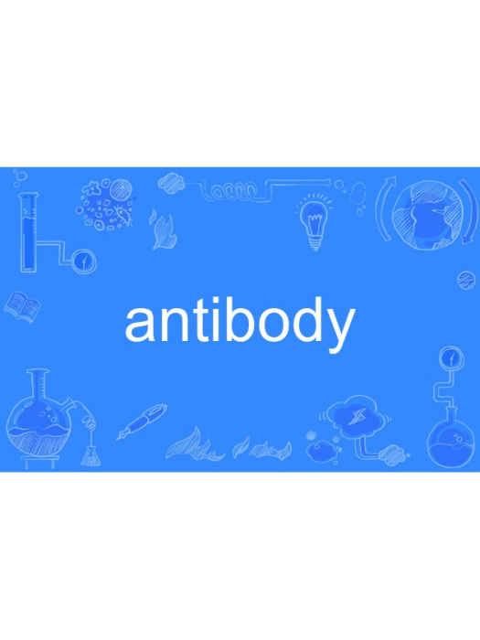 antibody antibody