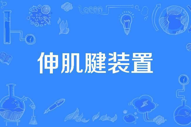 伸肌腱裝置 伸肌腱裝置