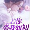 若你愛我如初(言情小說)