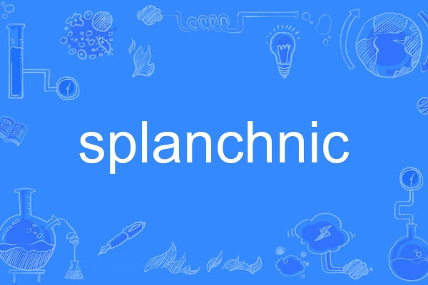 splanchnic splanchnic