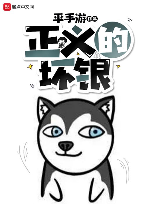 正義的壞銀 正義的壞銀