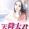 天降夫君 天降夫君