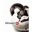 ADOBE PHOTOSHOP 7誕生 ADOBE PHOTOSHOP 7誕生