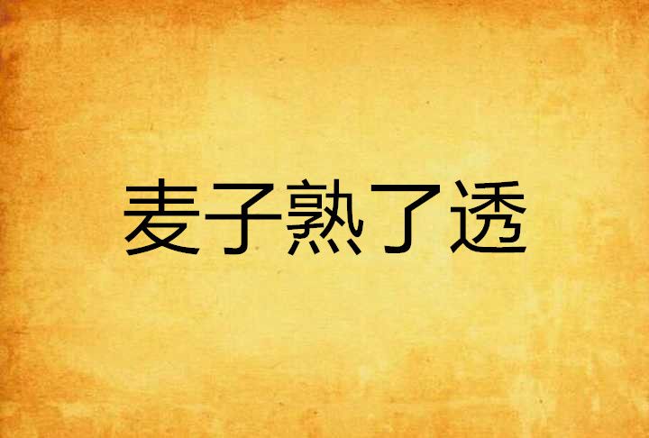 麥子熟了透 麥子熟了透