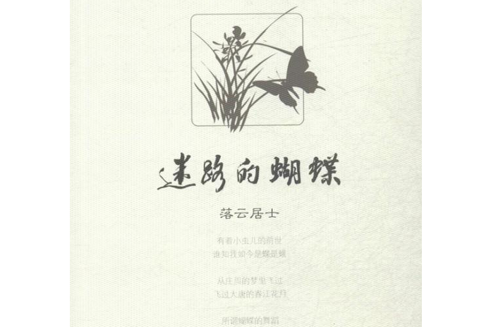 迷路的蝴蝶 迷路的蝴蝶