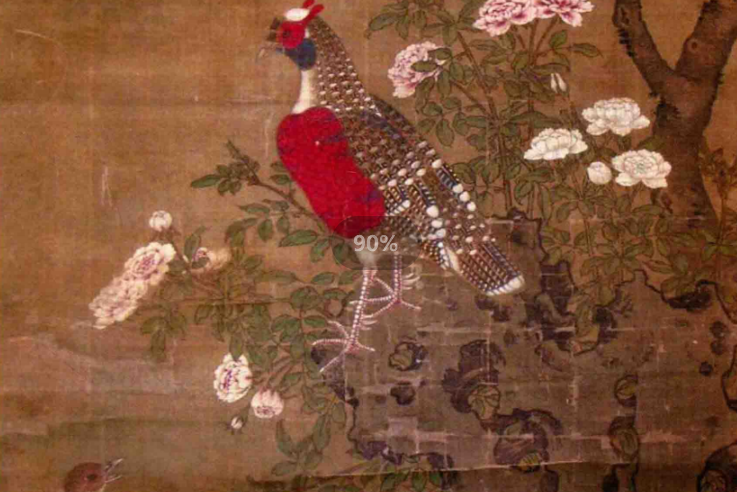 錦雞月季 錦雞月季
