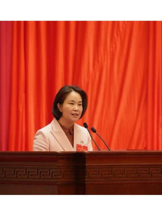 李晶(莆田市婦聯主席) 李晶(莆田市婦聯主席)