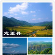 龍里縣