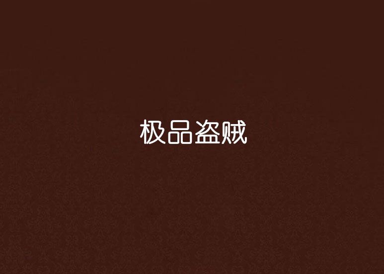 極品盜賊 極品盜賊
