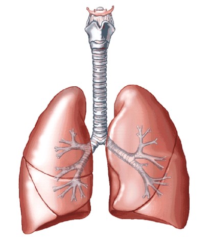 職業肺病