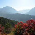 石膏山
