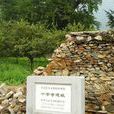景教遺址十字寺 景教遺址十字寺