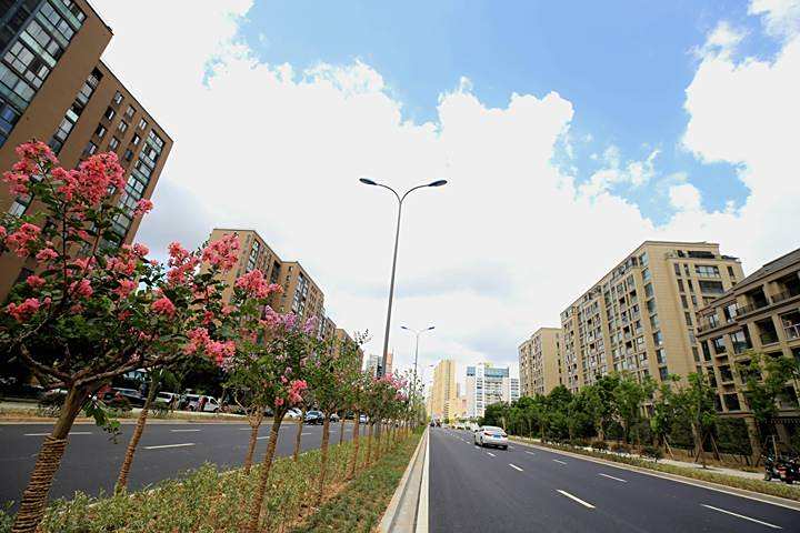 天童路 天童路