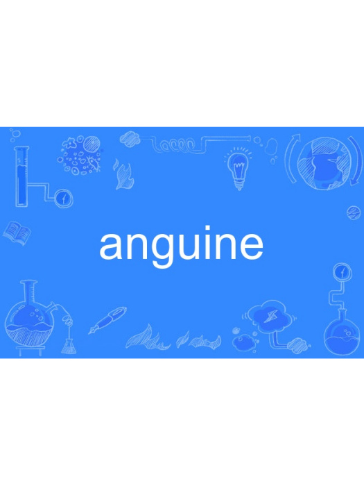 anguine anguine