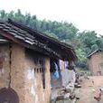 多依樹村(雲南普洱市景谷縣永平鎮下轄村) 多依樹村(雲南普洱市景谷縣永平鎮下轄村)