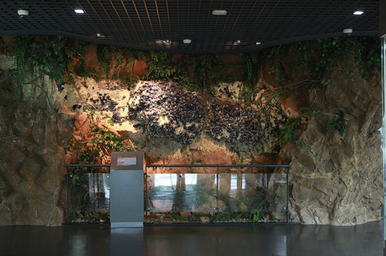 中國地質博物館