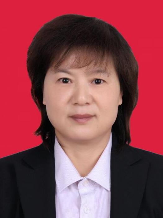 張艷(安康市統計局黨組成員、副局長) 張艷(安康市統計局黨組成員、副局長)