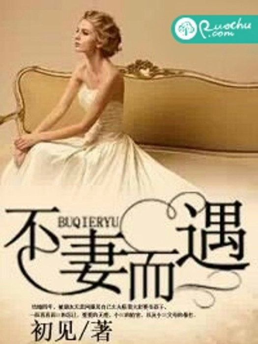 不妻而遇(初見著網路小說) 不妻而遇(初見著網路小說)