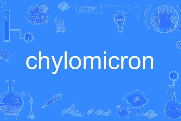 chylomicron chylomicron