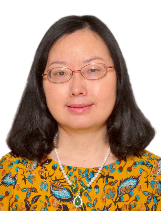 盛敏(湖南大學外國語學院講師) 盛敏(湖南大學外國語學院講師)
