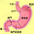 震水音 震水音