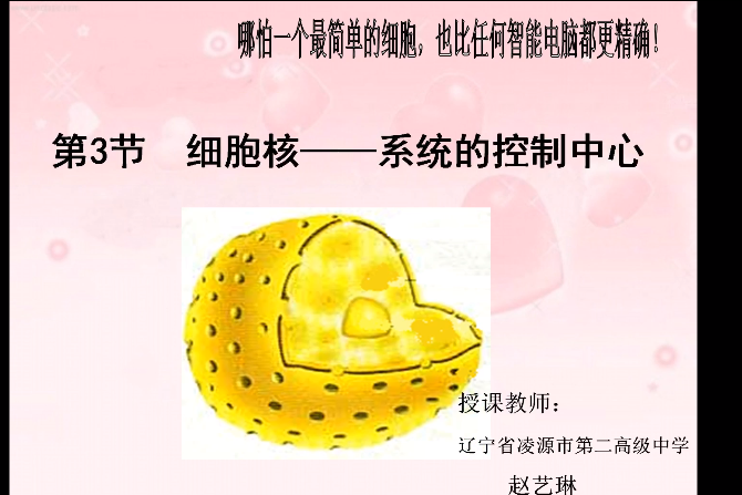 細胞核(微課課程) 細胞核(微課課程)