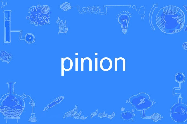 pinion pinion