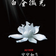 白晝微光 白晝微光