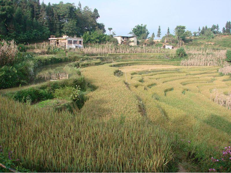 落普寨村 落普寨村